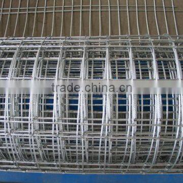 China manufacturer welded wire mesh