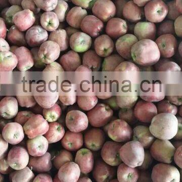 fresh huaniu apple