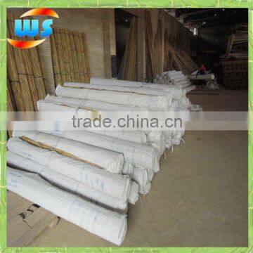 Bamboo Agriculture/Not easy insect bamboo stick