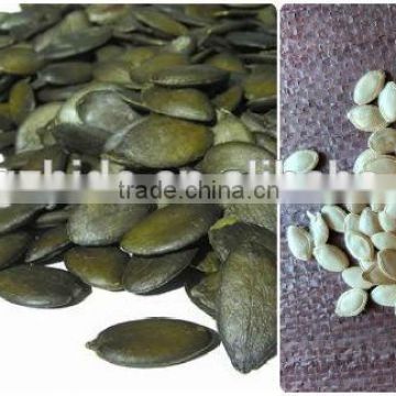 Competitive price~ 2015 new crop Shine Skin Pumpkin seeds, pumpkin seeds kernels