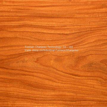 Wood Effect Transfer Printing Machine for Aluminium Profile photo-4