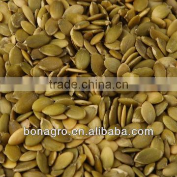 Pumpkin seeds kernels