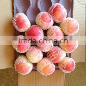 Fresh Apples photo-4