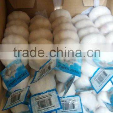 5p/3p garlic package/ garlic in bulk package