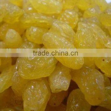 New Crops Natural Seedless Golden Raisins photo-2