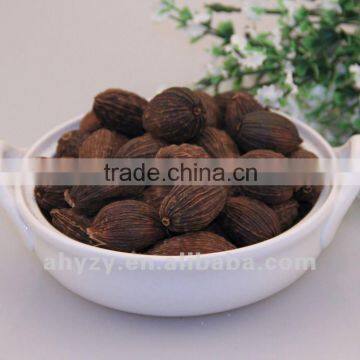 Amomum tsao-ko