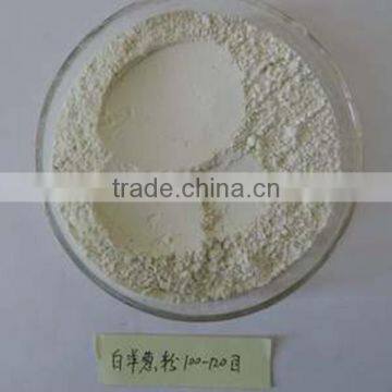 dehydrated onion powder