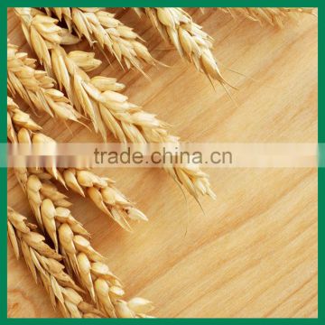 wholesale barley malt extract powder Purity>98%