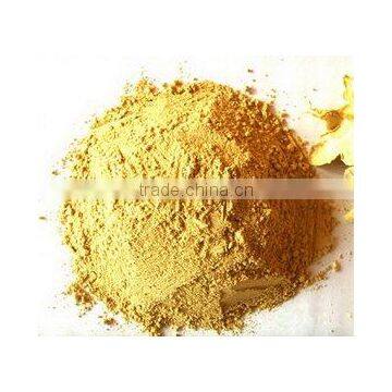 DRIED GINGER POWDER Dry ginger powder Dehydrated ginger powder