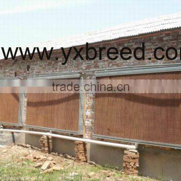 Rapid refrigeration chicken shed cooling pad