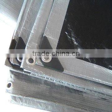 pe Laminated Tarpaulin