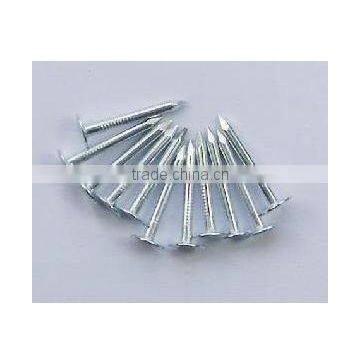 Clout Nails for Building