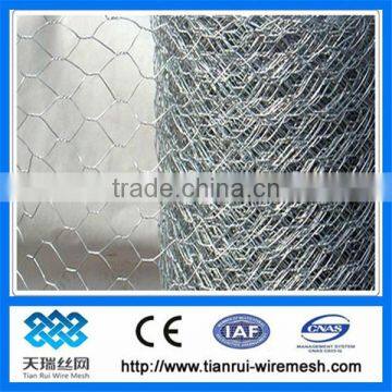 chicken wire/hexagonal wire mesh (factory)