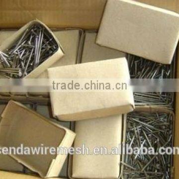 Common Nails/roofing Nails /iron Nails photo-3