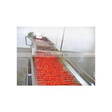 Tomato Concentrate photo-3