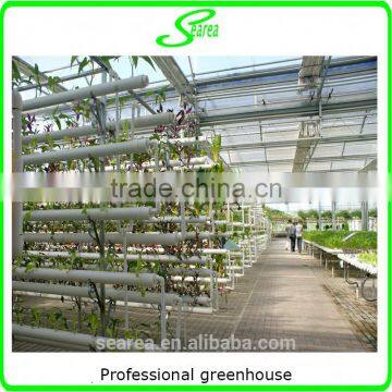 Professional Greenhouse Project Commercial Hydroponic Systems photo-2