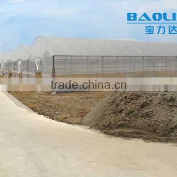 50*8m/100*8m Agricultural Plastic Tunnel Greenhouse