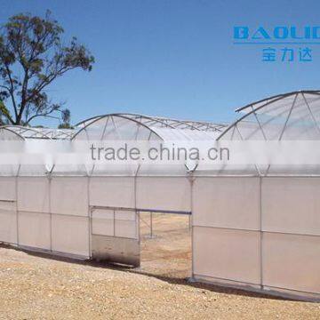 Multi-span pe Film Green House Tomato Green House Pepper Greenhouse photo-2