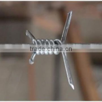 Single strand barbed wire (direct factory)