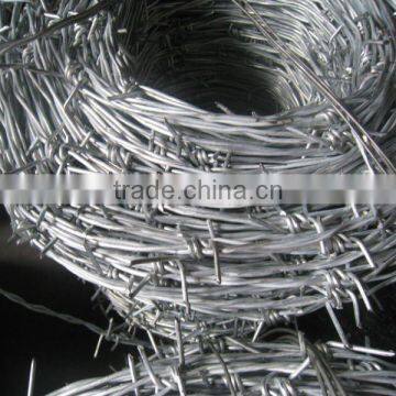 Galvanized Barbed Wire