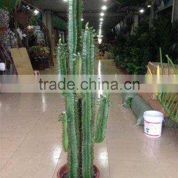 CHY030926 Artifiical 70cm Cactus Modern Home Decoration photo-3