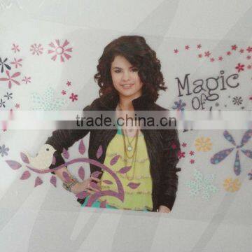 2015 High Quality Customized 3D T-shirt Heat Transfer Label photo-3