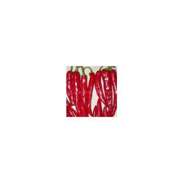 Capsicum annuum extract