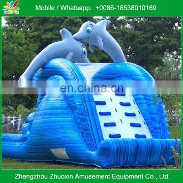 Dolphin Splash Inflatable Water Slide for Big kids and Adults