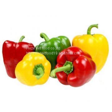 IQF Pepper Dices 10*10MM 6*6MM DICES photo-2