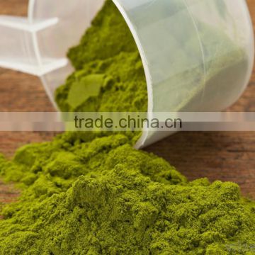 Fine Quality Wheat Grass Powder For OEM