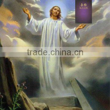 2013 High quality cheap cleanroom bible printing paper a4