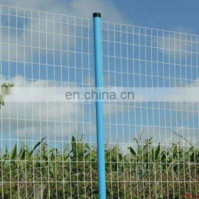 New Products PVC Coated Welded Wire Mesh Fence /holland Wire Mesh photo-5