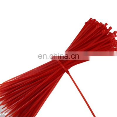 High quality factory price multi-usage fastening  nylon cable tie