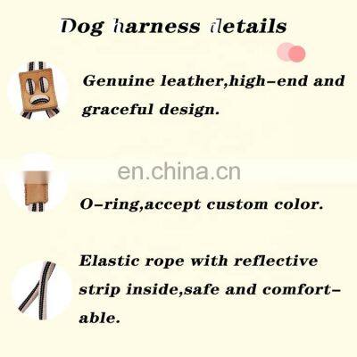 Rope Dog Harness With Matching Leash Handsfree Leash for Running and Walking Long Dog Leash photo-5