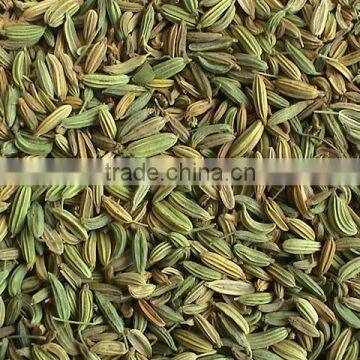 Fennel Seeds photo-2