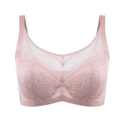 Hot Sale Women's Seamless Bras No Underwire Scalloped Push Up Bras Full Coverage Everyday Bra photo-5
