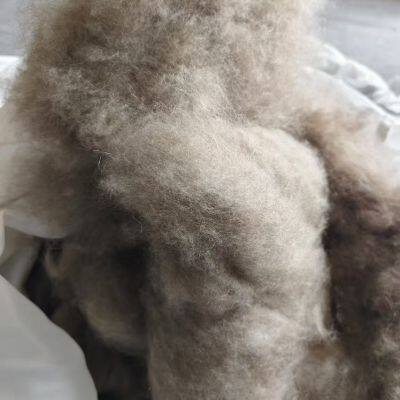 Factory Wholesale White Dehaired Cashmere 19/20mic 36mm for Spinning Yarn