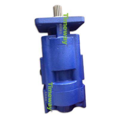 P5100 Series High Pressure Gear Pump P5100-50-50 Large Displacement Roller Bearing Pumps photo-3