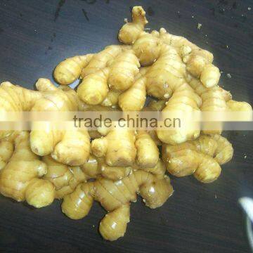 150g and up fresh ginger