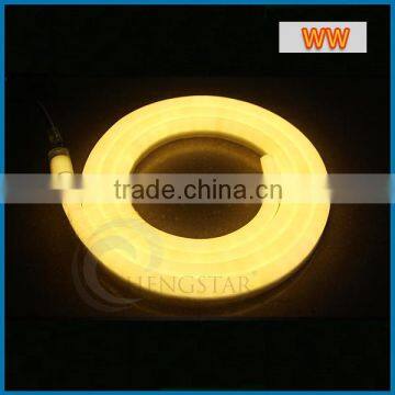 5M 300LEDs 24V 12V LED Neon Flex Digital Programmable RGB Mini Led Neon Flex photo-2