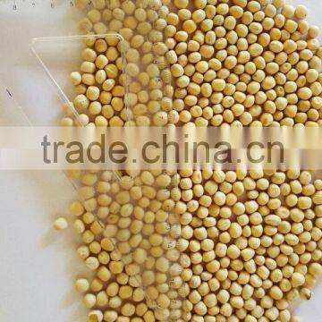 Yellow Split Peas