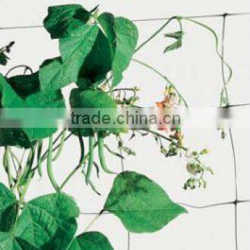 Strong Plastic BOP Net for Climbing Plant/plant Support Net photo-6