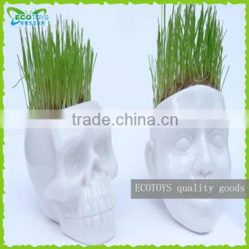 Head pattern grass doll