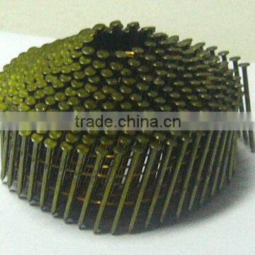 common coil nails/coil wire nails