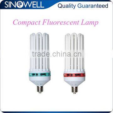 China Top 3 Hydroponics Equipment Manufacturer 800w Compact Fluorescent Lamp CFL Grow Light