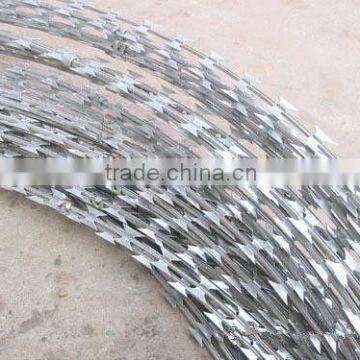 All kinds of competitive price razor barbed wire