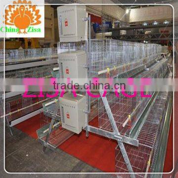 Good quality Poultry egg Chicken Cage farm equipment for sale skype yolandaking666