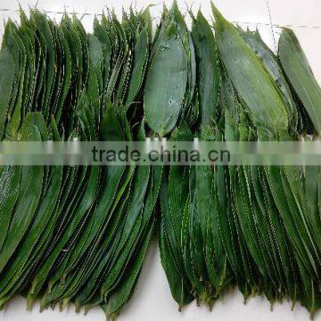 High quality bamboo leaves for Sushi