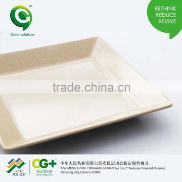 Fashion Design Biodegrable and Wholesale Simple Square Plate photo-5