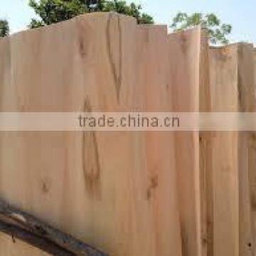 Viet A's Eucalyptus core veneer